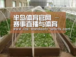环境展示五