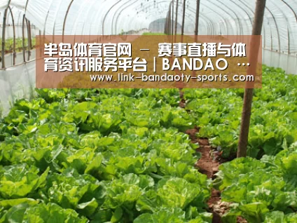 种植基地五