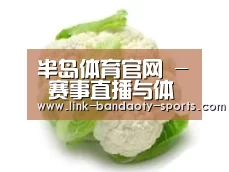 产品名称九