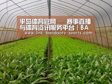 种植基地四