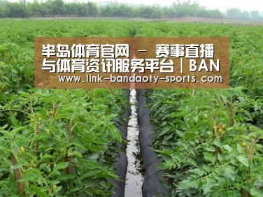 种植基地三