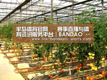 种植基地二(图1)
