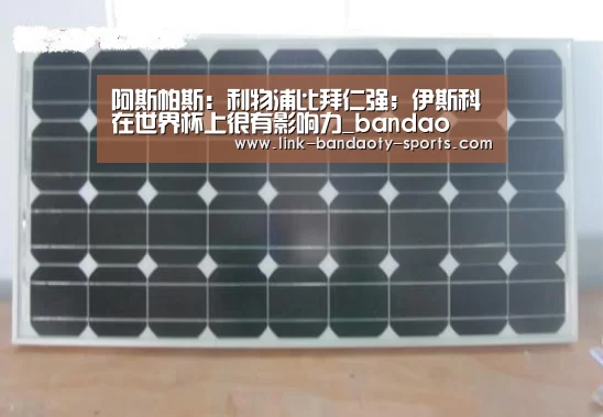 半岛体育官网