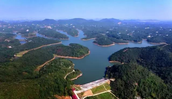 广西力争第四季度出栏生猪500万头_半岛体育网址(图2) 半岛体育网址
