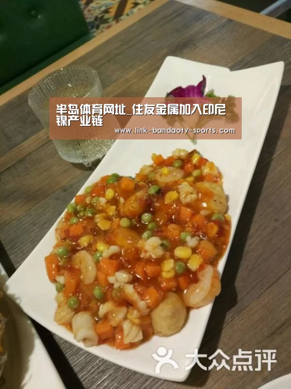 半岛体育网址_住友金属加入印尼镍产业链(图1) 半岛体育网址