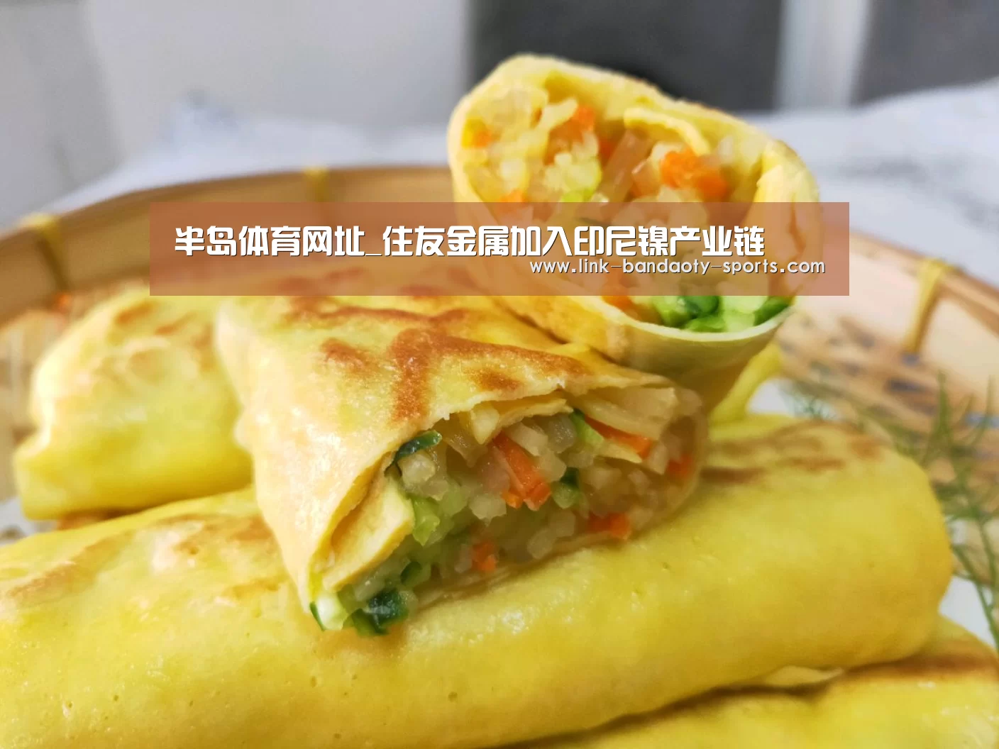 半岛体育网址_住友金属加入印尼镍产业链(图2) 半岛体育下载